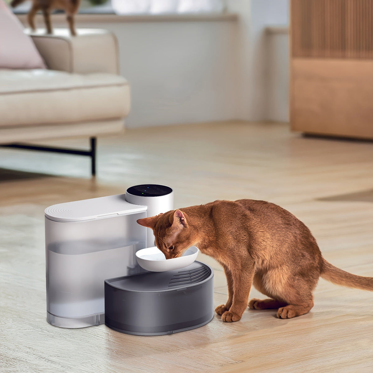 Oplaadbare Kattenfontein van 3 Liter zonder Filter