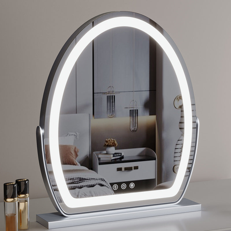Ovale LED make-upspiegel - 3 lichtstanden met touchdimmer