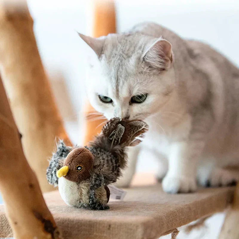 Interactief Vogelspeeltje voor Katten met Beweging en Geluid