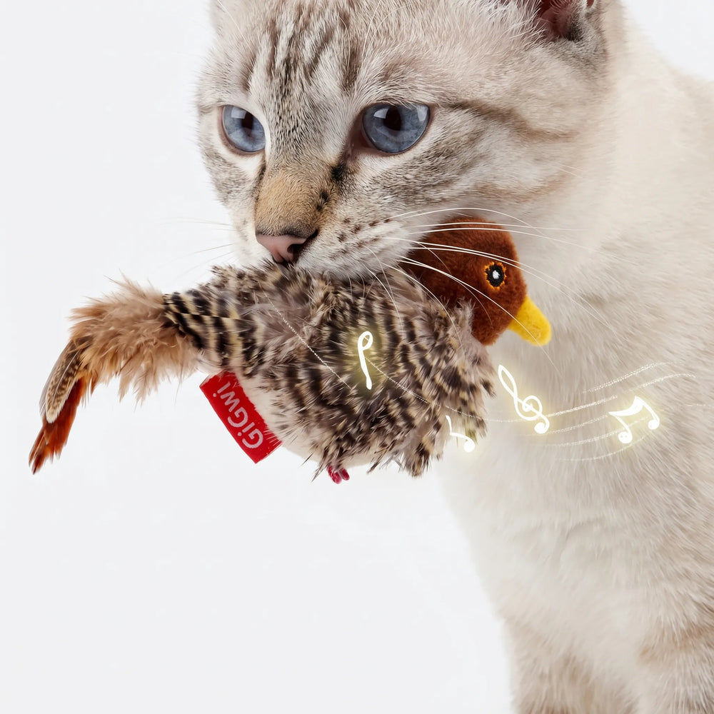 Interactief Vogelspeeltje voor Katten met Beweging en Geluid