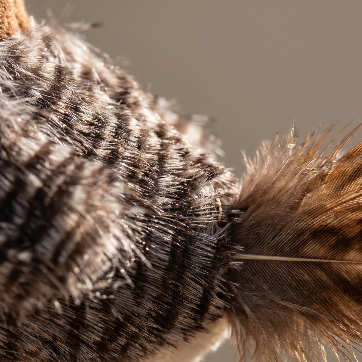 Interactief Vogelspeeltje voor Katten met Beweging en Geluid