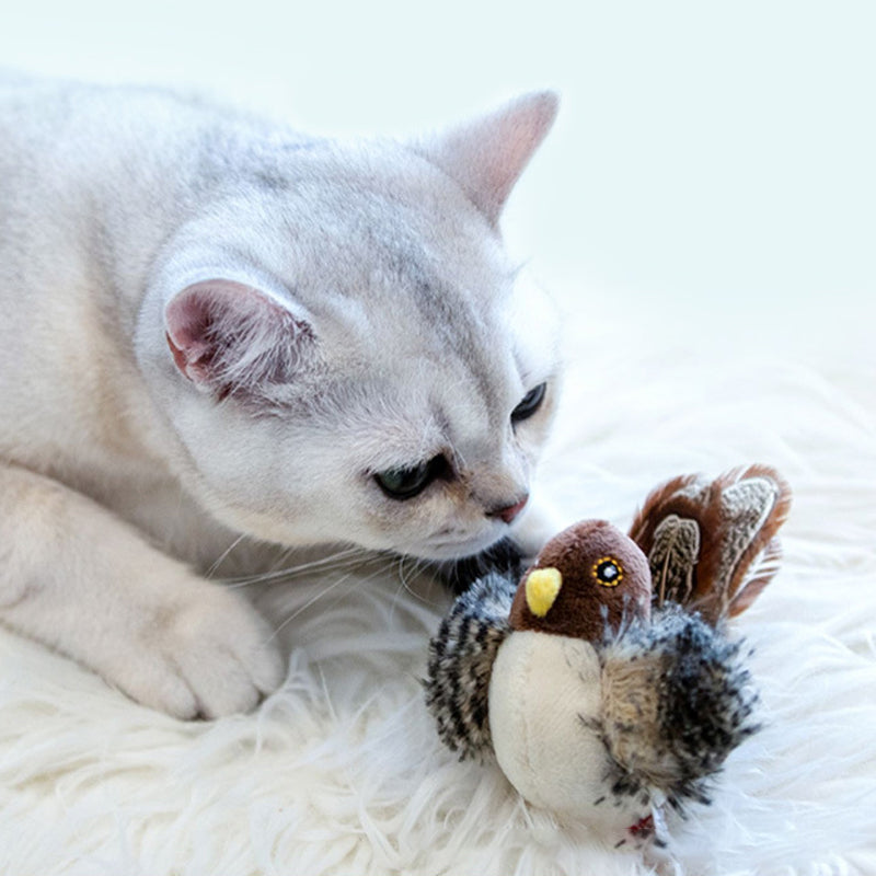 Interactief Vogelspeeltje voor Katten met Beweging en Geluid