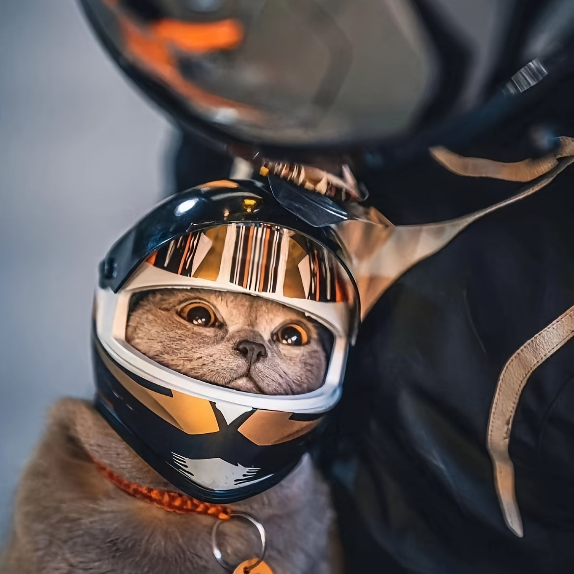Mini Motorhelm Kostuumaccessoire voor Katten