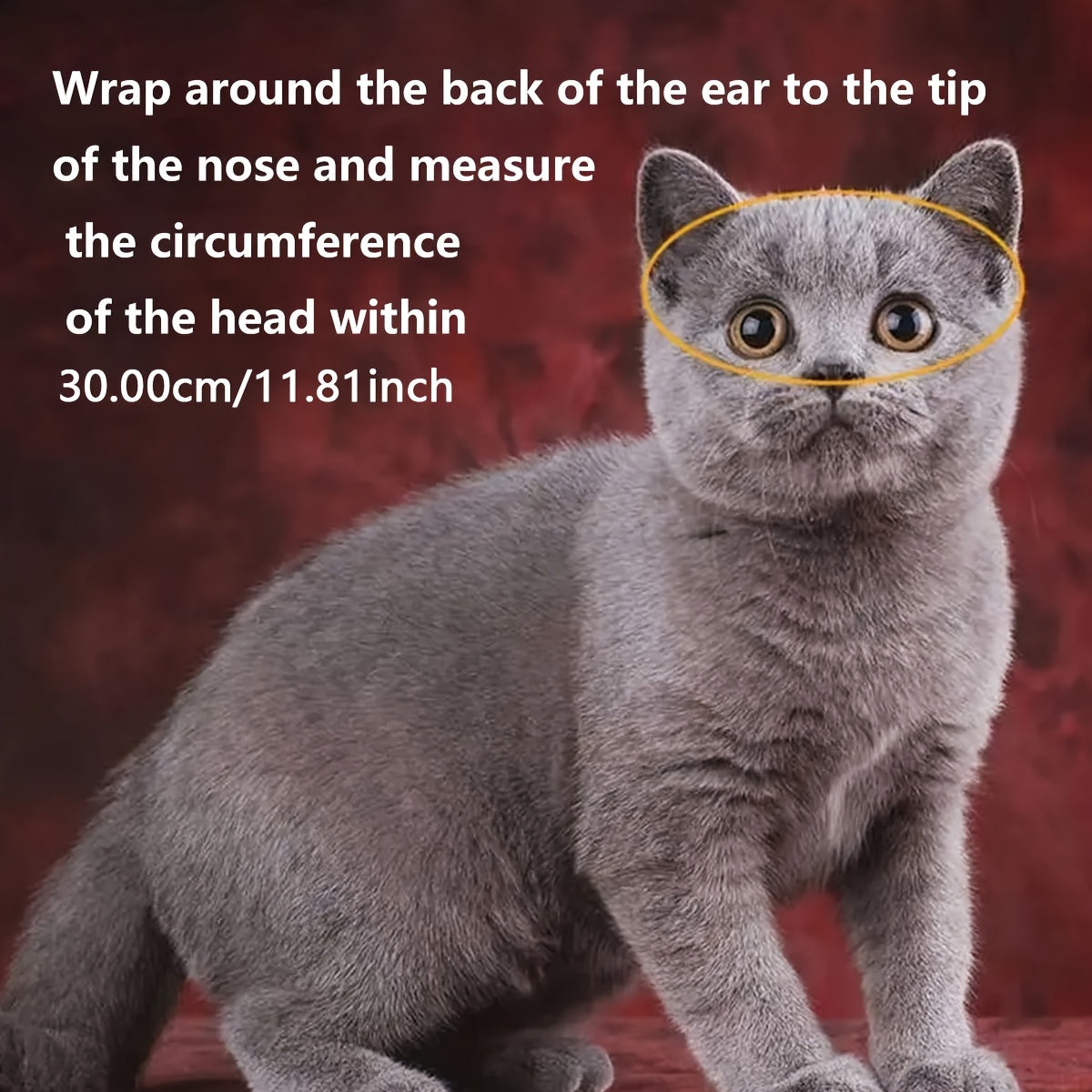 Mini Motorhelm Kostuumaccessoire voor Katten