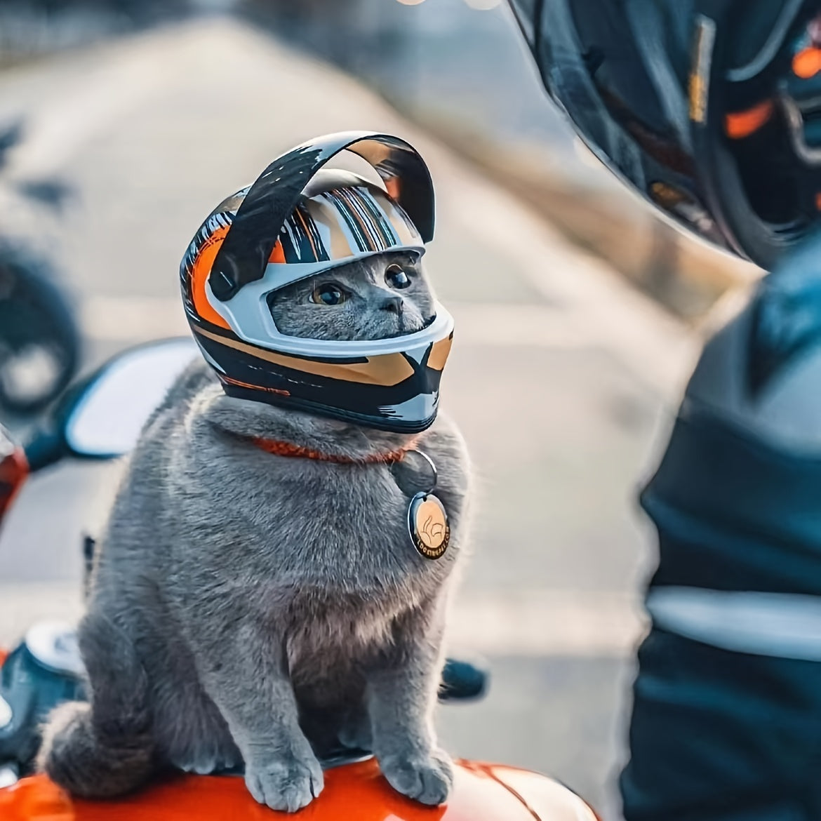 Mini Motorhelm Kostuumaccessoire voor Katten