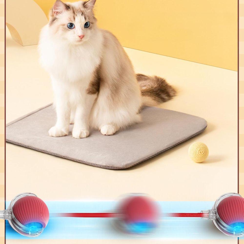 Oplaadbare Interactieve Speelbal met 3 Bewegingsstanden