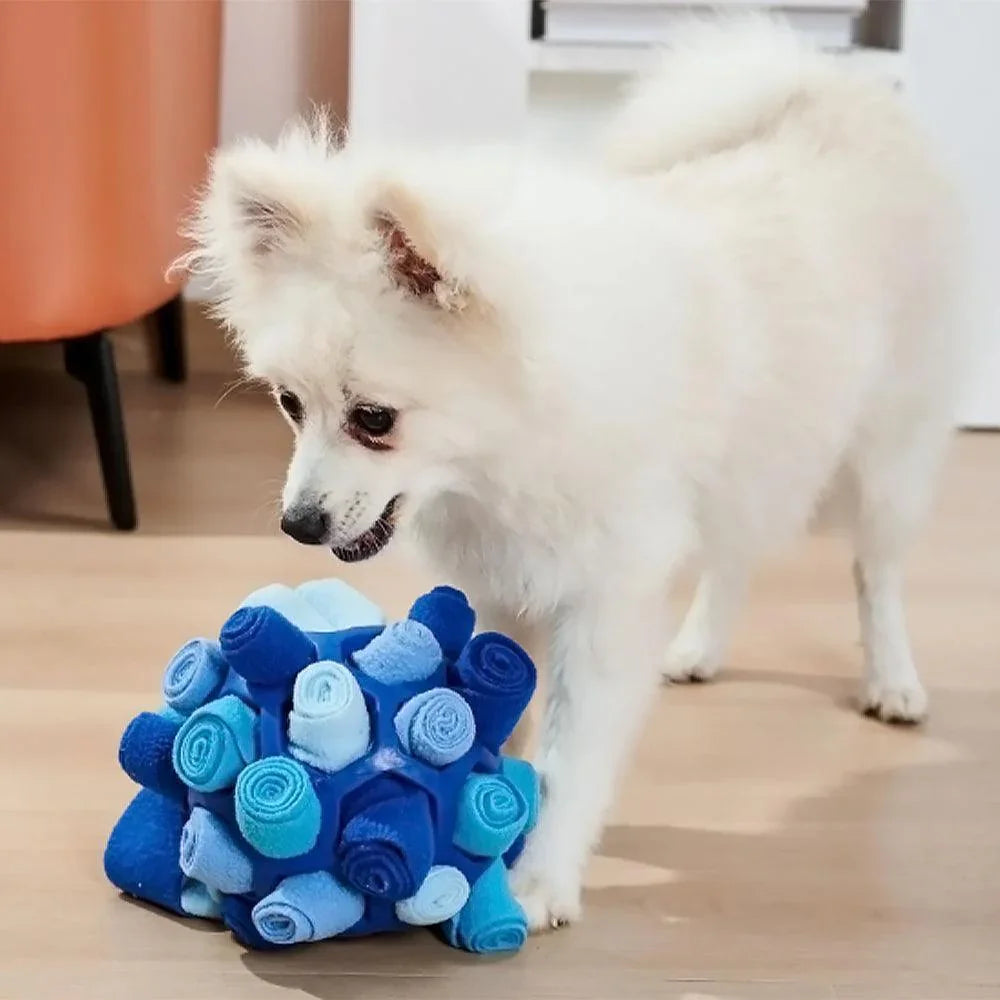 Wasbare Snuffelpuzzel voor Honden en Snacks