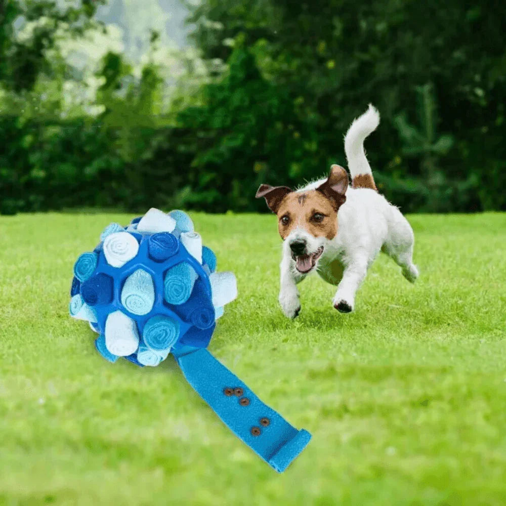 Wasbare Snuffelpuzzel voor Honden en Snacks