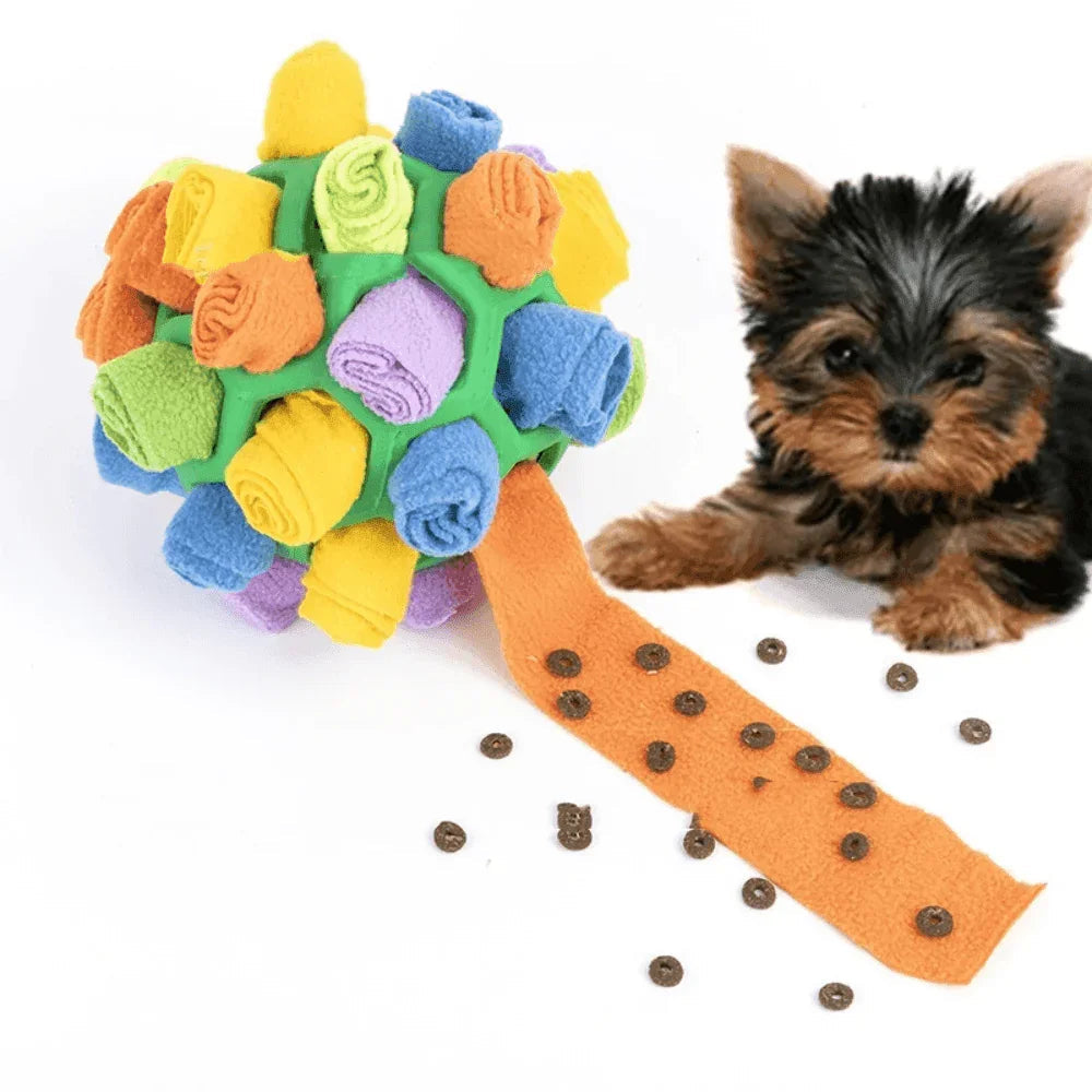 Wasbare Snuffelpuzzel voor Honden en Snacks