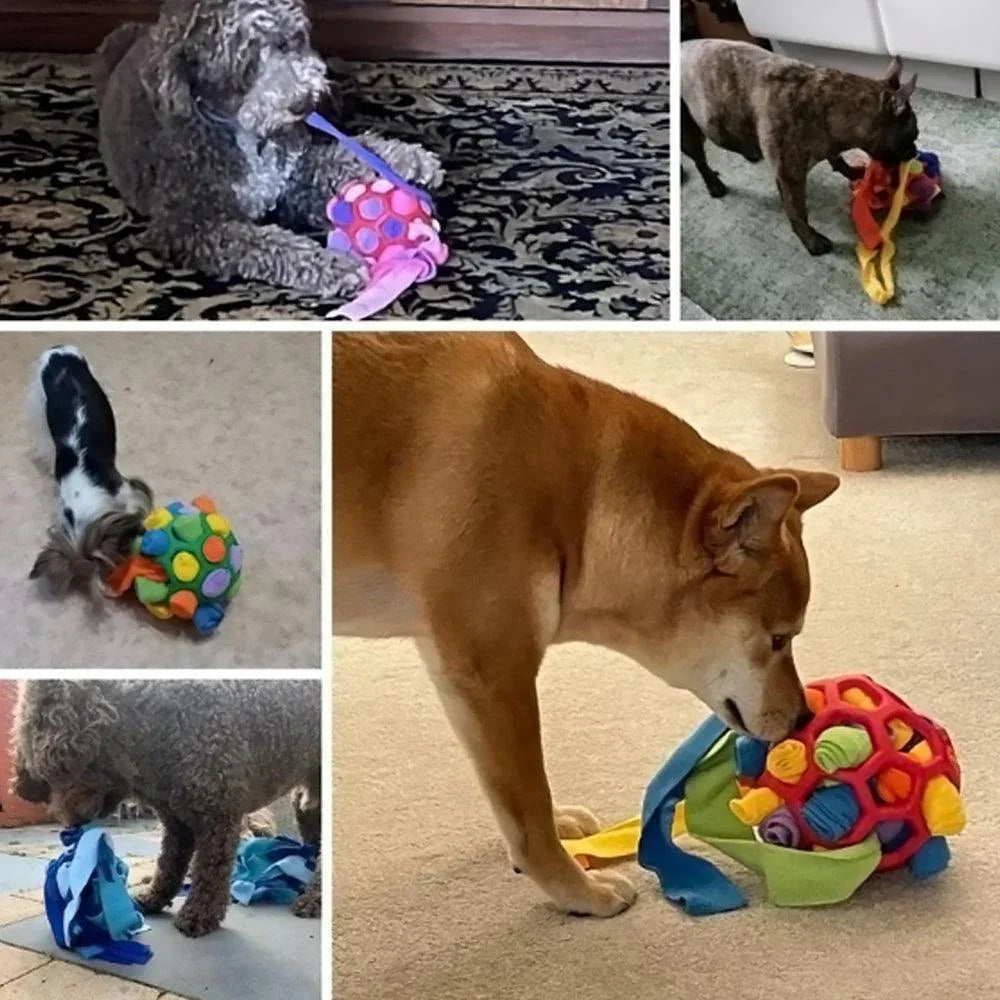 Wasbare Snuffelpuzzel voor Honden en Snacks